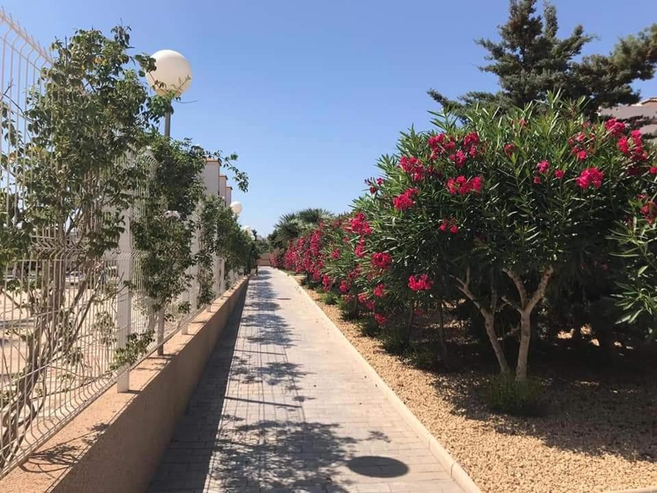 Casa Punta Prima Daire Orihuela Dış mekan fotoğraf